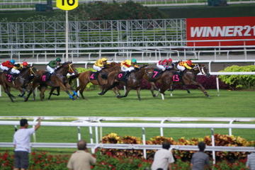 Singapore Turf Club