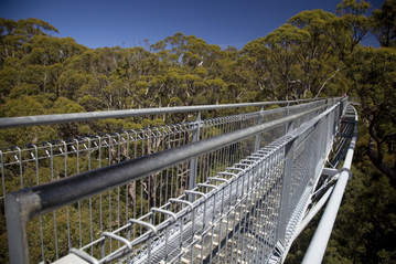 HSBC Treetop Walk