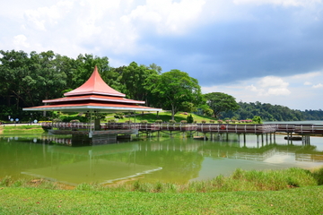 MacRitchie Nature Trail