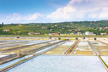 Secovlje Salina Nature Park