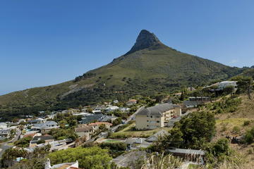 Lion's Head