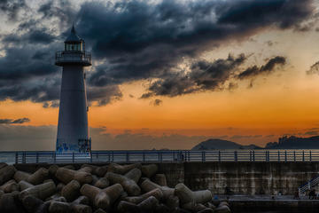 Dongbaek Island (Dongbaekseom)