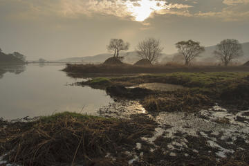 Junam Wetlands Park