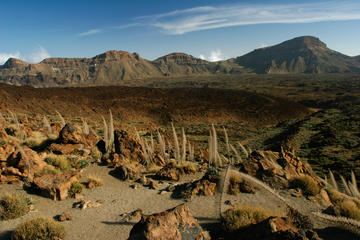 Teide National Park