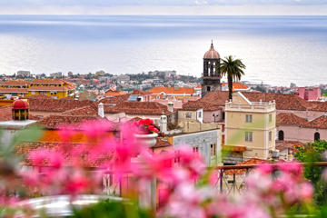 La Orotava Valley