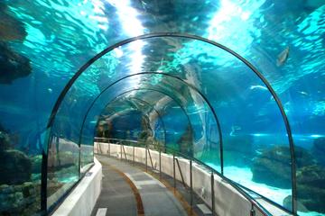 Barcelona Aquarium (L'Aquarium)