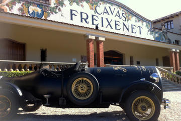 Freixenet Winery