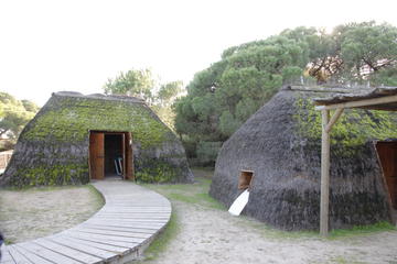 Doñana National Park