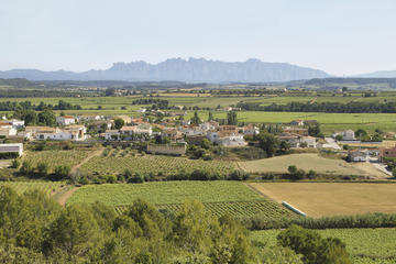 Penedes