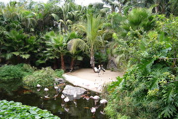 Loro Park (Loro Parque)