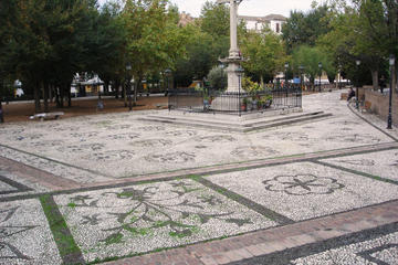 Campo del Principe