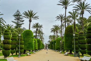 Park Genoves