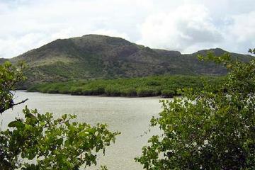 Great Salt Pond