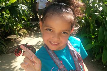 Butterfly Farm