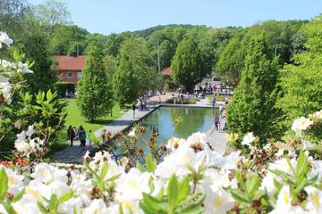 Botanical Garden (Botaniska Tradgarden)