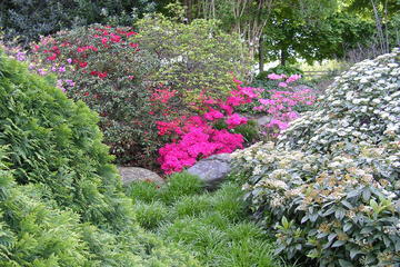 Botanical Garden (Botanischer Garten)