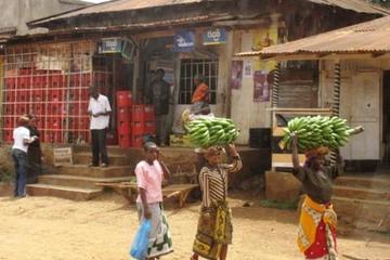 Marangu Village