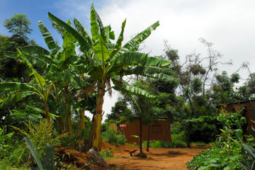 Tengeru Village