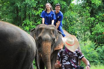 Baanchang Elephant Park
