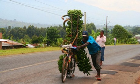 Banana bike, Uganda (Charlie Walker)