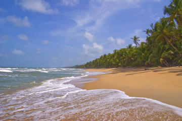 Mayaro Bay