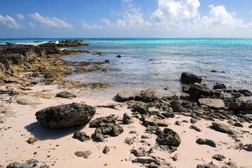 Sapodilla Bay Rock Carvings