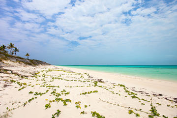 Little Water Cay (Iguana Island)