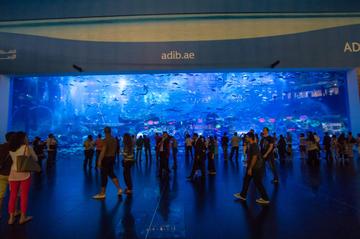 Dubai Aquarium & Underwater Zoo