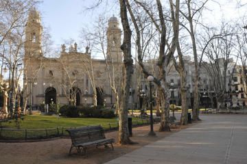 Montevideo Metropolitan Cathedral (Iglesia Matriz)