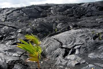 Hawaii Volcanoes National Park