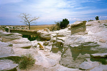 Painted Desert & Petrified Forest