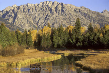 Grand Teton National Park