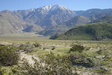 Mt San Jacinto Wilderness State Park