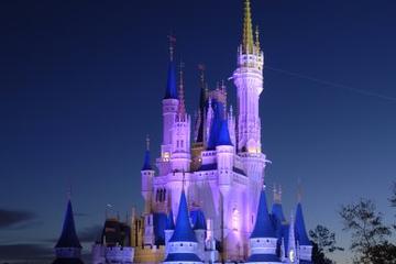 Walt Disney World