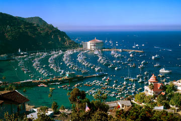 Catalina Island