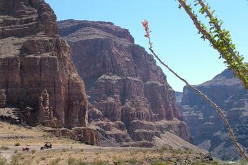 Grand Canyon North Rim