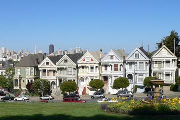 Painted Ladies