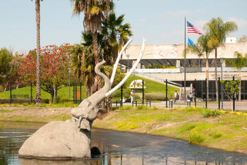 La Brea Tar Pits