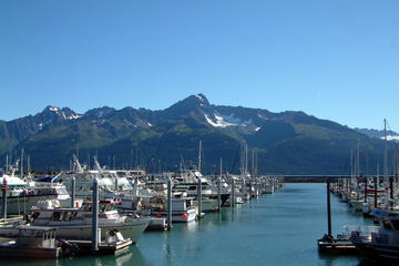 Resurrection Bay