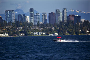 Lake Washington