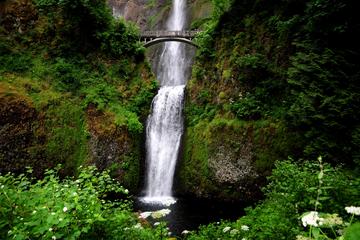 Multnomah Falls