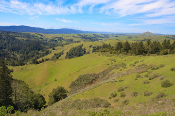 Marin County