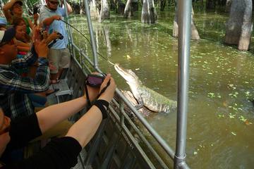 Honey Island Swamp