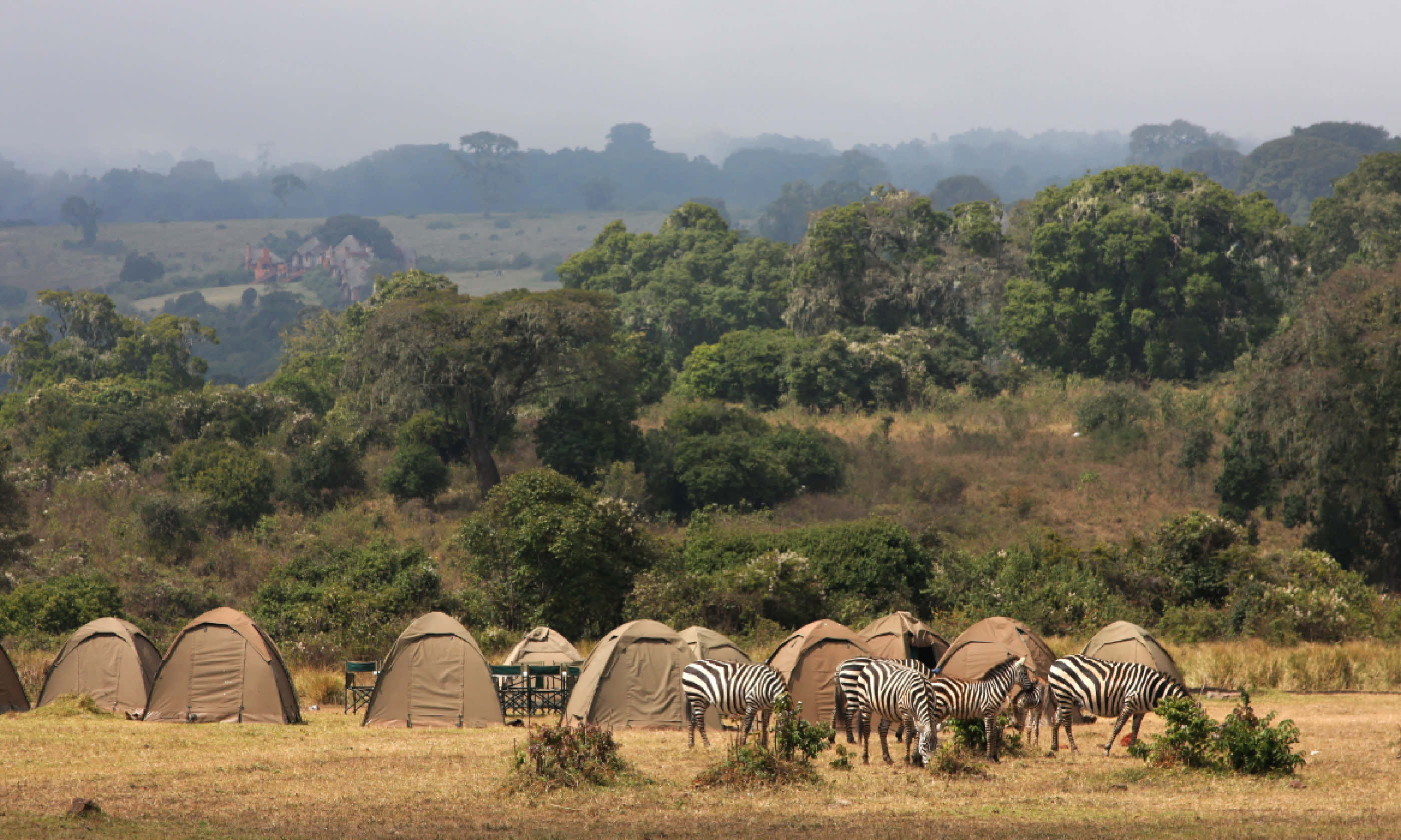 Camping in Ngorongoro (Shutterstock)