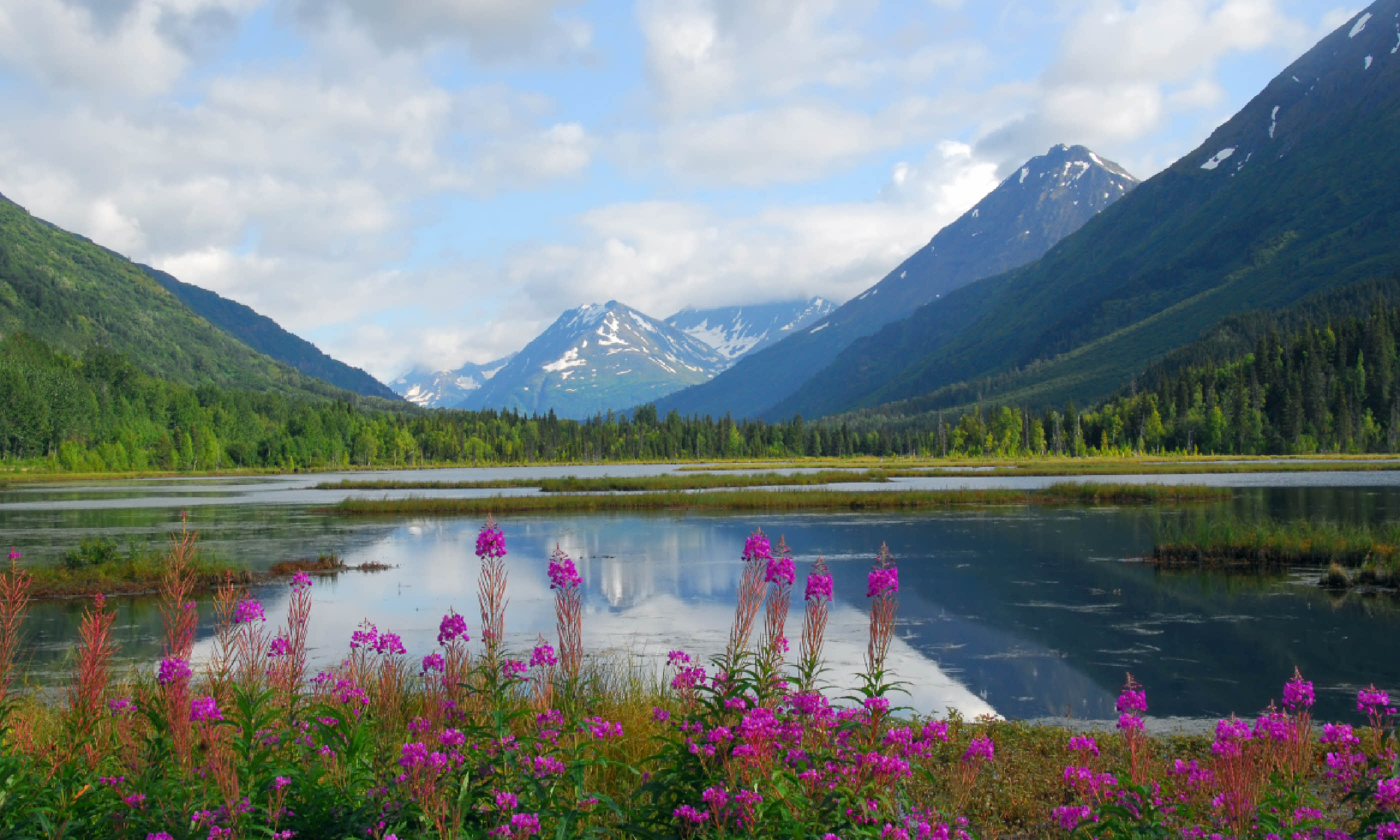 Tern Lake on the Kenai peninsula in Alaska (Shutterstock)