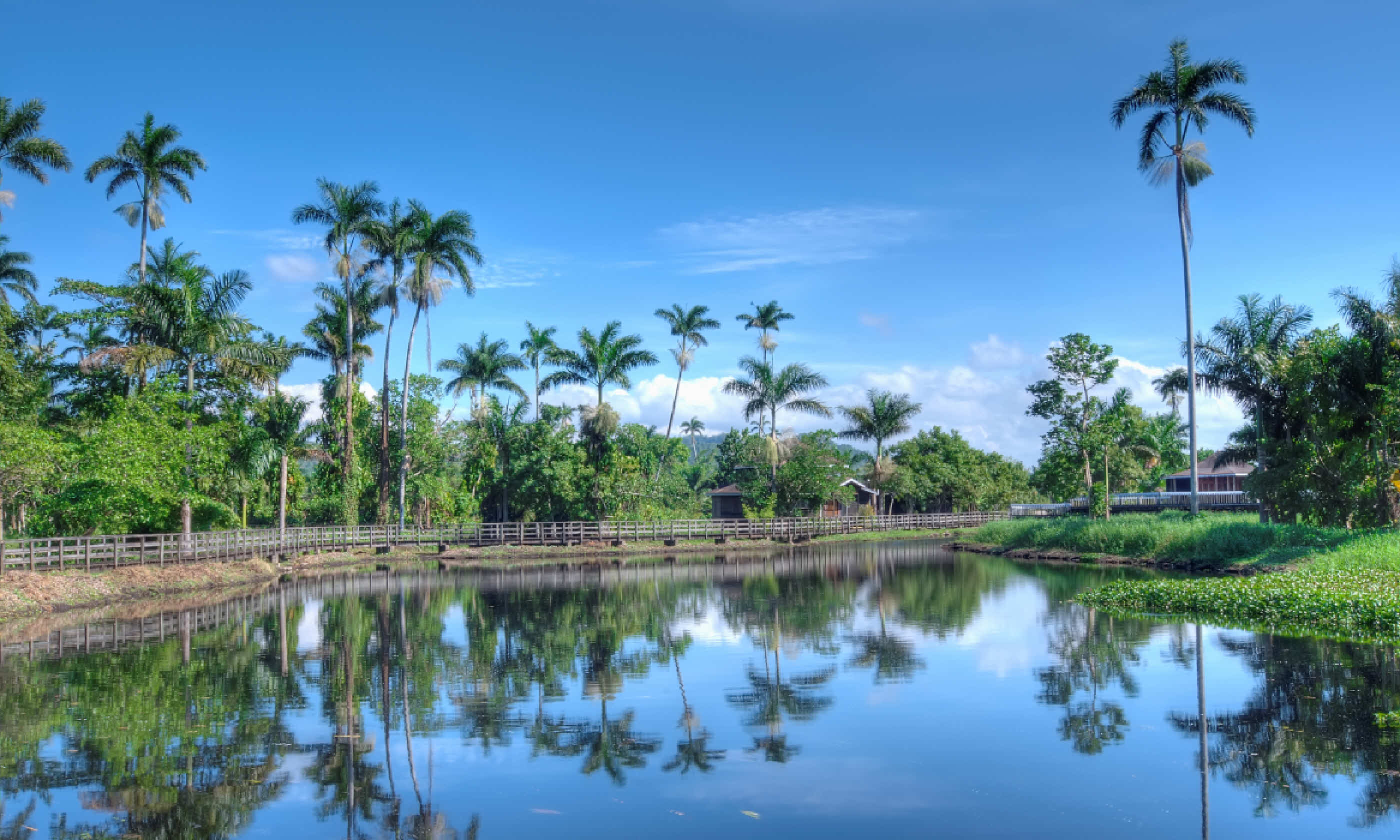 Jamaican landscape with lake and palms (Shutterstock)