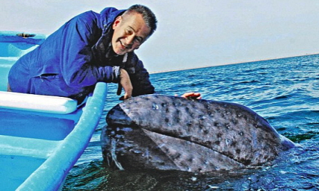 Nigel Marvin meets a whale (Channel 5)