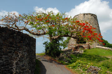 Leinster Bay