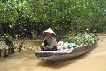 Mekong River Delta