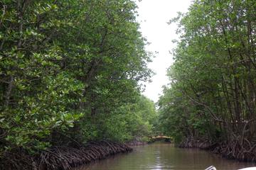 Can Gio Mangrove Biosphere Reserve